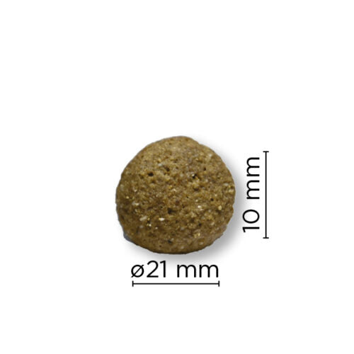 Arion Original Maintenance L crocchette pollo riso 12 kg