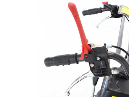 TAG 300T motocarriola cingolata 300kg 6,5hp benzina