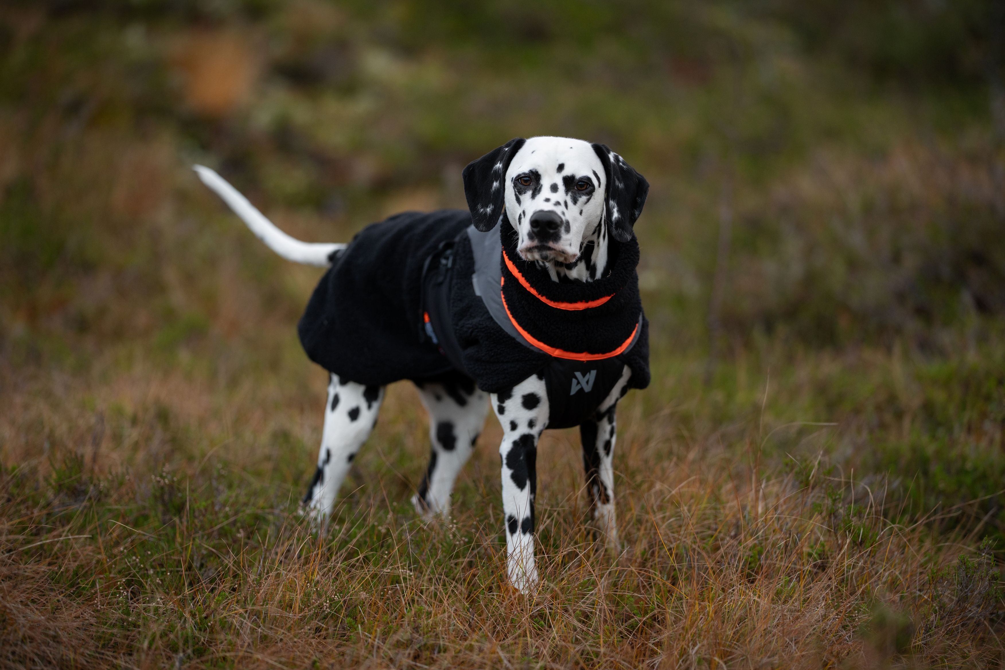 Non-stop Dogwear Trekking giacca cane pile nero arancione