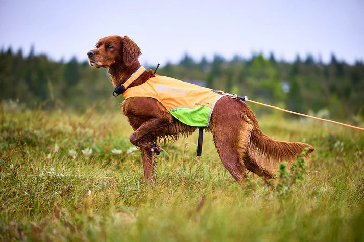 Non-stop Dogwear Protector lunghina rotonda 15 m addestramento