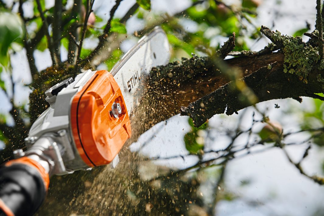 Stihl HTA 135 Potatore Telescopico 285-405 cm a batteria