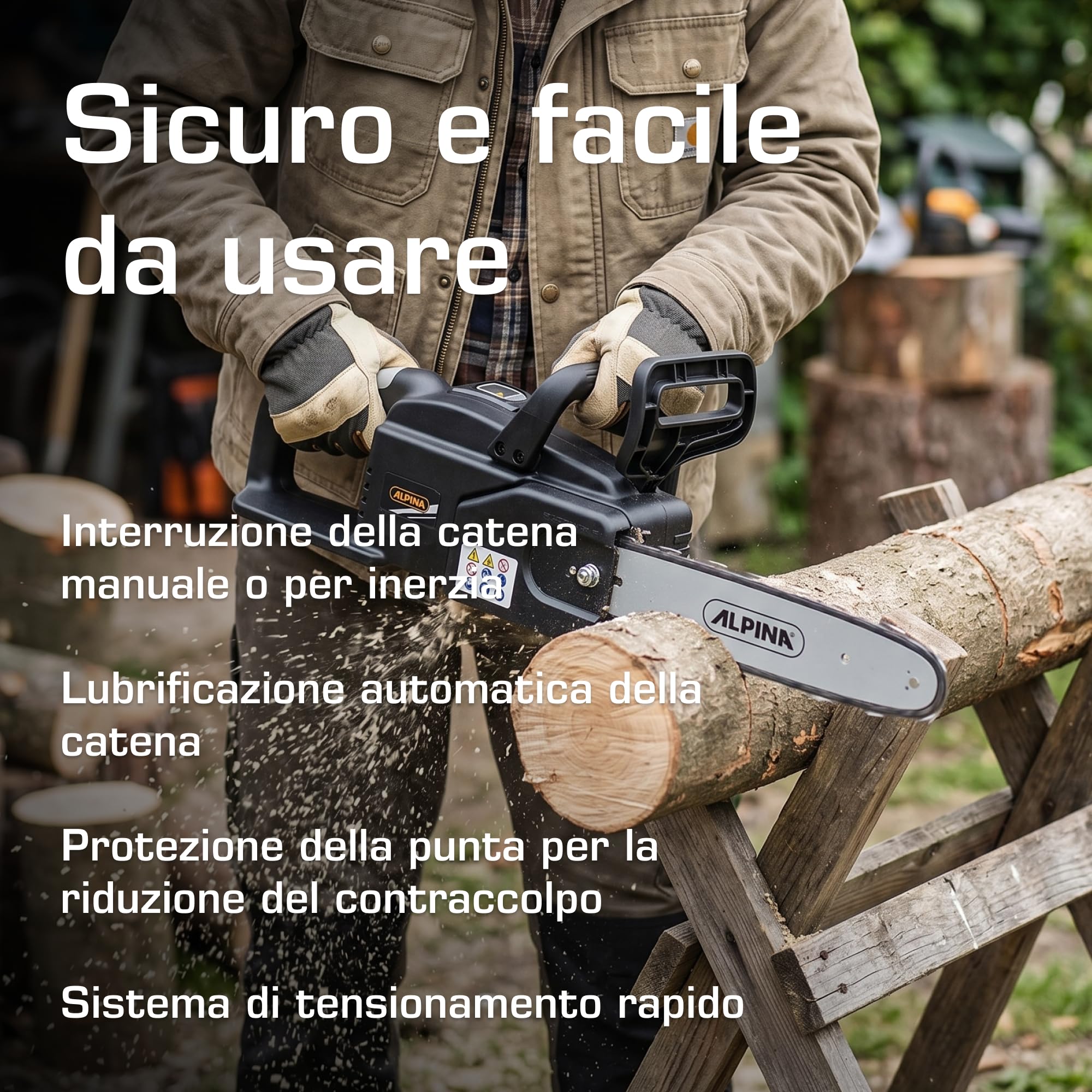 Alpina AC 20 Li Kit motosega a batteria 25 cm 4Ah