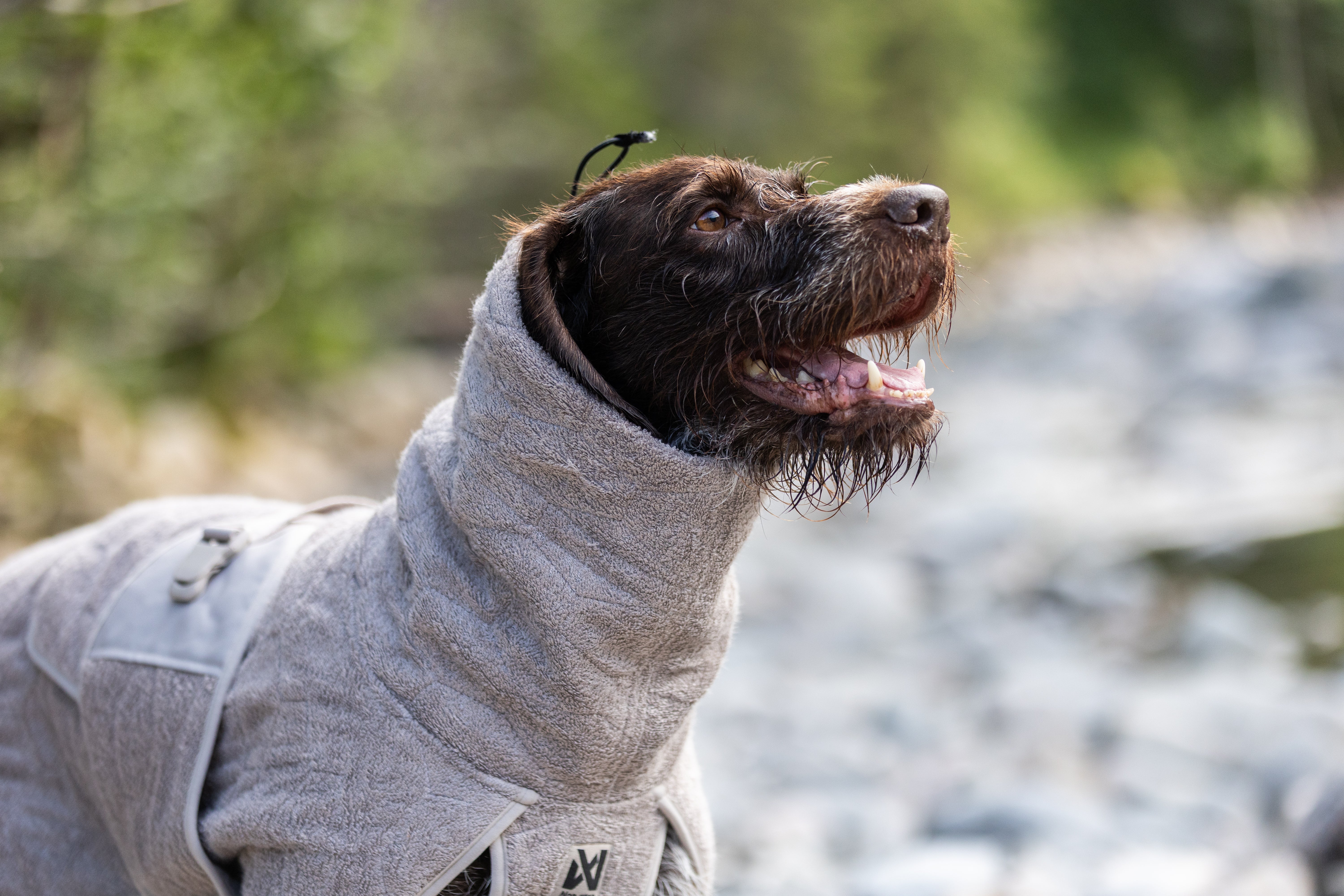 Non-stop Dogwear Drying Coat cappotto cane Sand assorbente