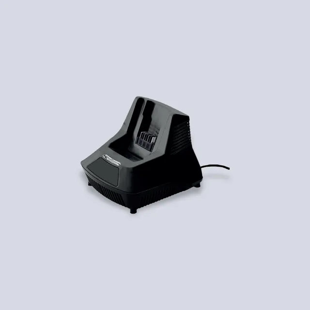 FreeMow 40V Caricabatterie a Batteria Ricambio Rapido