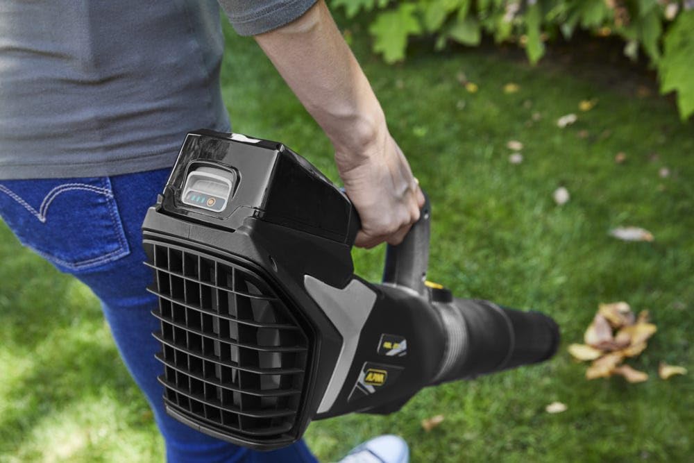 Alpina ABL 20 Li Soffiatore a Batteria 20V