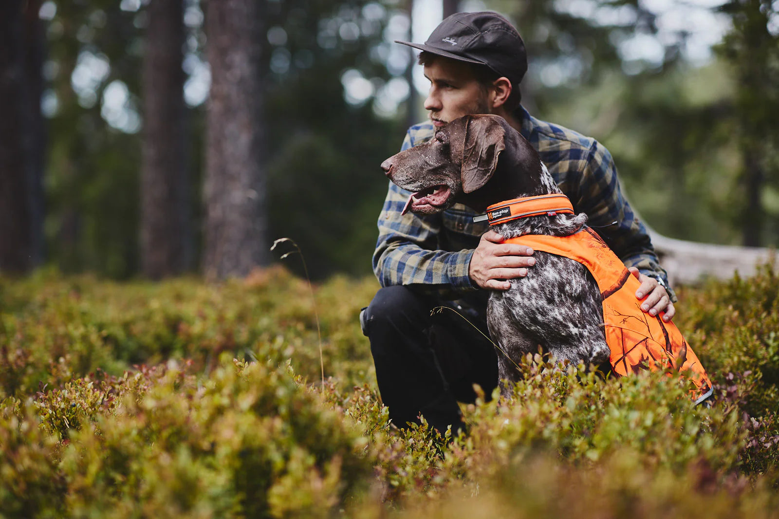 Non-Stop Dogwear Safe Collar collare cane arancione