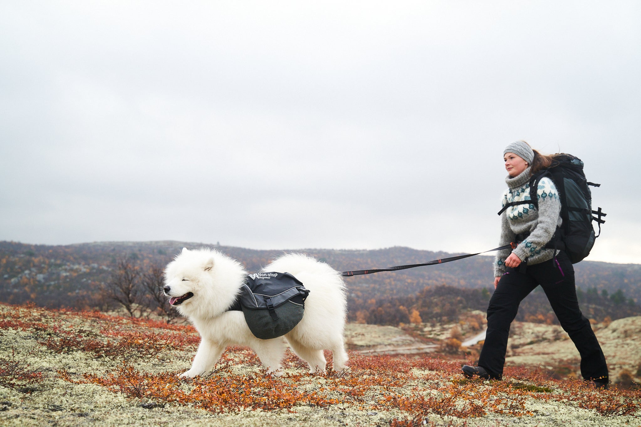 Non-Stop Dogwear Touring Bungee guinzaglio cane regolabile