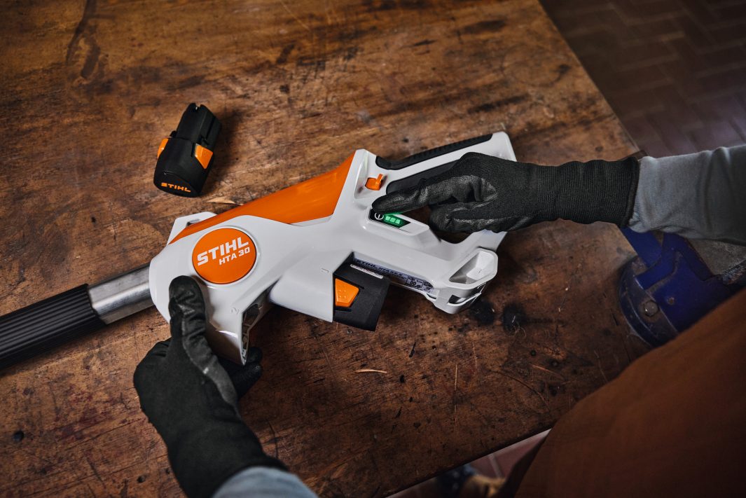 STIHL HTA 30 potatore telescopico batteria set 2xAS 2
