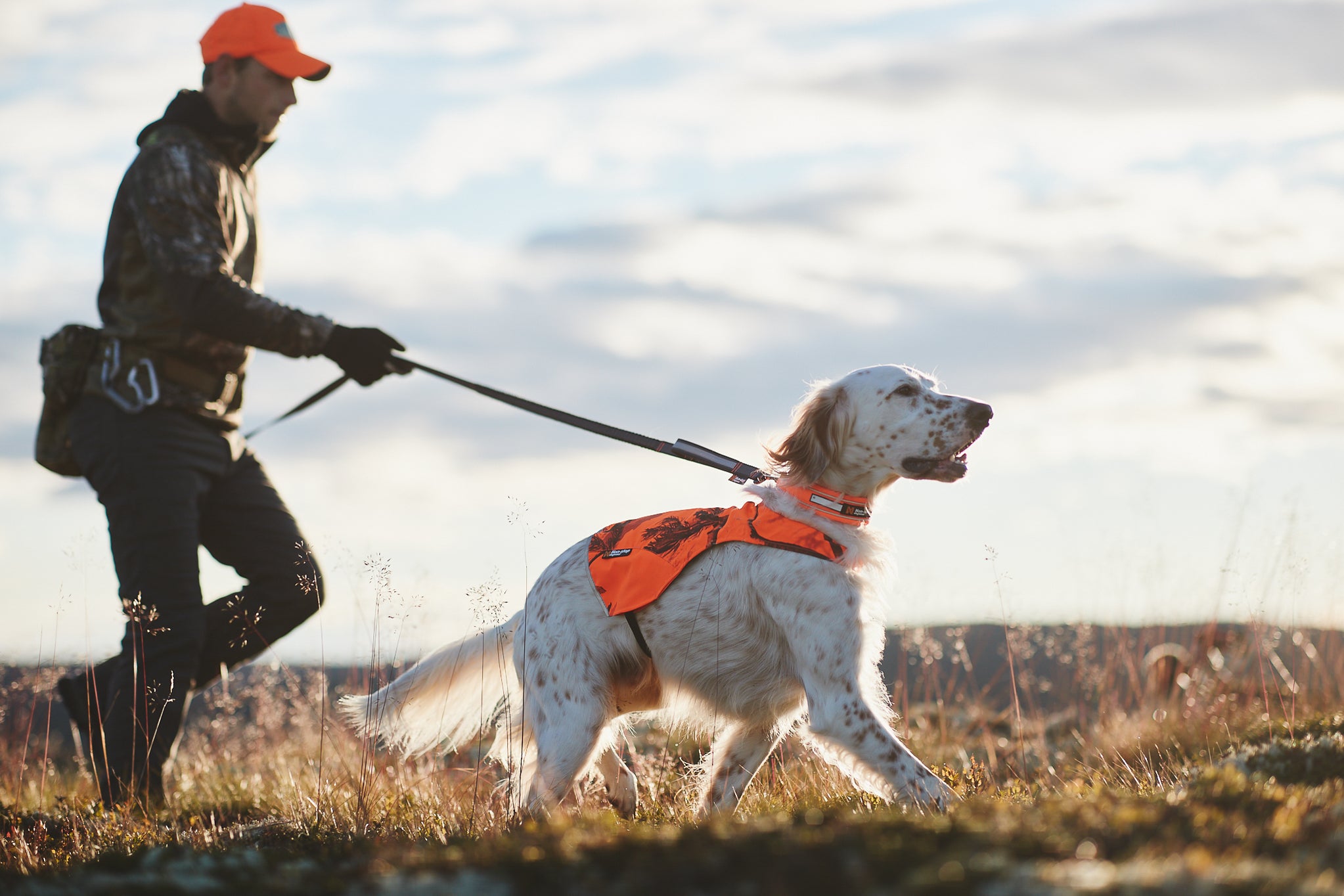 Non-Stop Dogwear Touring Bungee guinzaglio cane regolabile