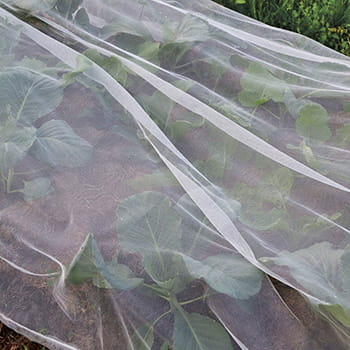 Ryom Rete Antinsetti Orto 2x5 m con 6 Picchetti