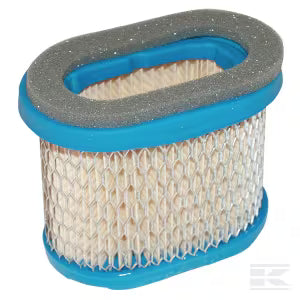 Briggs & Stratton filtro aria cartuccia ricambio motore