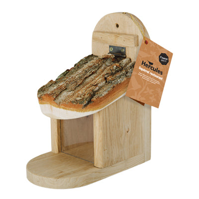 Hercules mangiatoia scoiattoli legno di quercia con coperchio