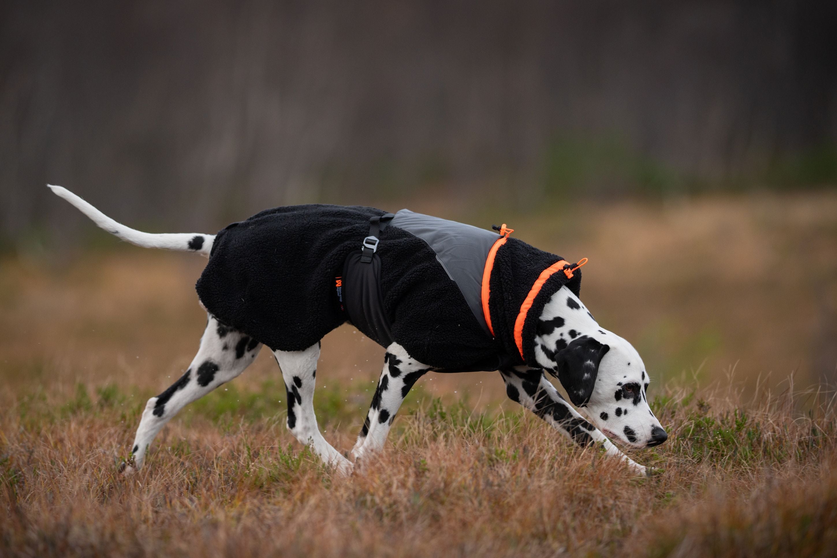 Non-stop Dogwear Trekking giacca cane pile nero arancione