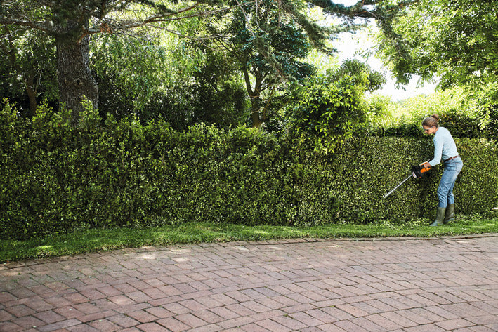 Stihl HSA 50 tagliasiepi a batteria set AK 10 + AL 101
